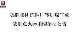 华体会 (hth)·官方网站-登录入口-HTH SPORTS
炼钢厂转炉煤气放散塔点火器招标项目
