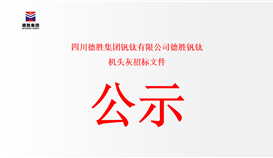 四川华体会 （hth）·官方网站-登录入口-HTH SPORTS
钒钛有限公司德胜钒钛 机头灰招标文件